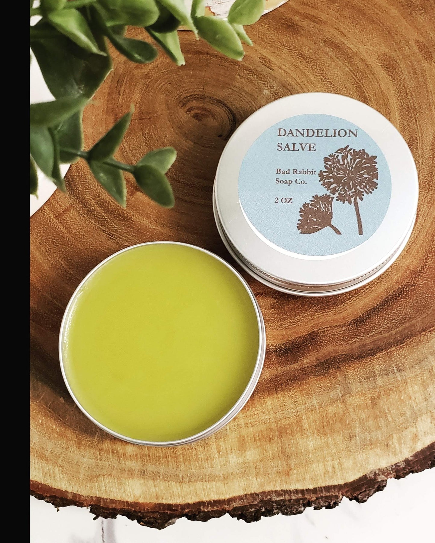 Dandelion salve